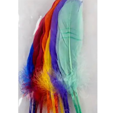 Plumas