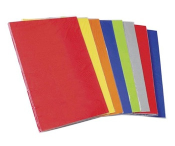 Carpeta plastica sin accoclip