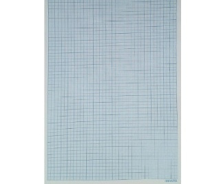 Hojas milimetradas 10 un.